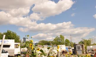 Sunflowers growing in the foreground of Near North camp, with a sided self-build building, several recreational vehicles, and a standalone wood-sided enclosed shower stall building before bits of the skyline of Minneapolis and a deep blue and white clouds sky.